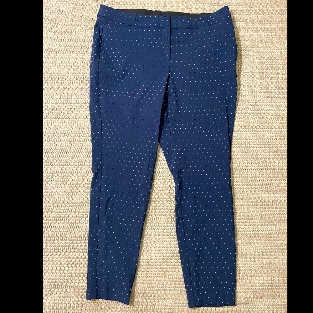 LOFT Pants Size 16
